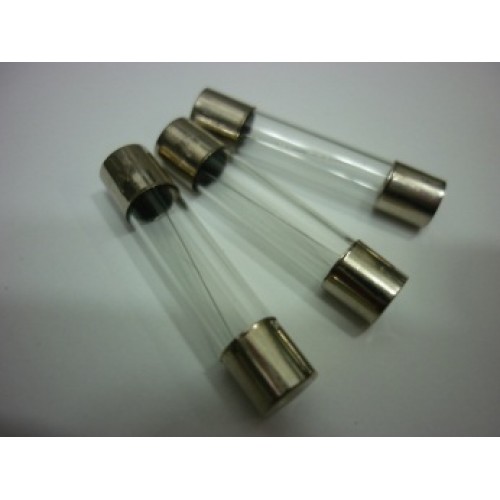 Cod.2284 6 x 30mm  4.00 Amp